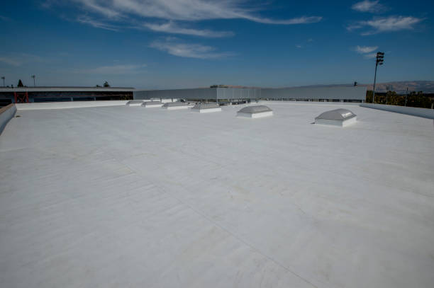 Best Roof Maintenance and Cleaning  in Hopkins, SC