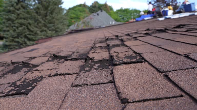 Best Flat Roofing  in Hopkins, SC