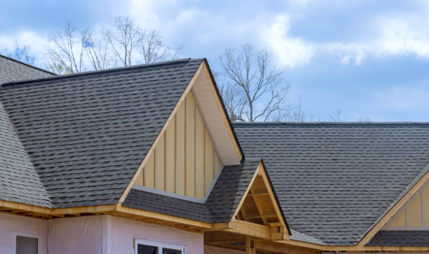 Best Green or Eco-Friendly Roofing Solutions  in Hopkins, SC